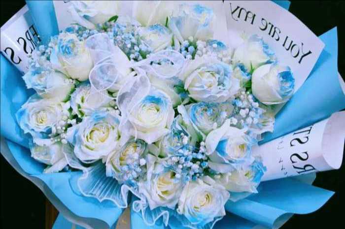 ��ݸݸ��������