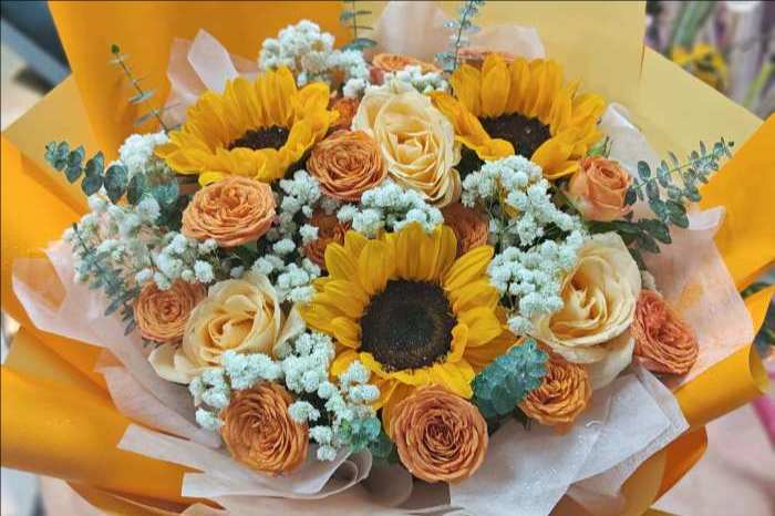 ��ݸݸ��������